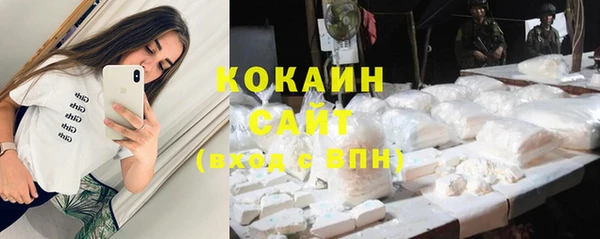 индика Каменск-Шахтинский