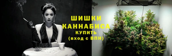 ешки Каменногорск
