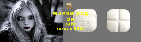индика Каменск-Шахтинский