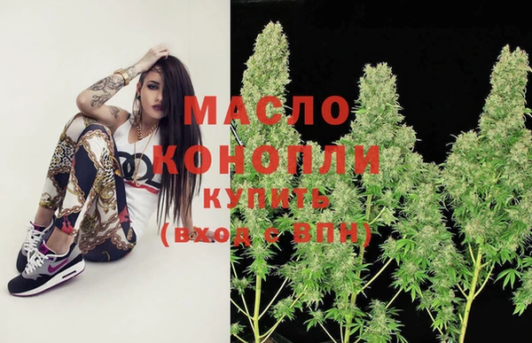 индика Каменск-Шахтинский