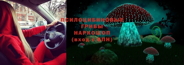 индика Каменск-Шахтинский