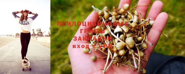 ешки Каменногорск