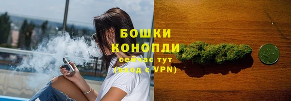 индика Каменск-Шахтинский