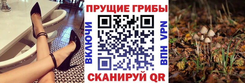 Псилоцибиновые грибы Psilocybine cubensis  Купить  Приморско-Ахтарск 