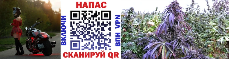 Купить  Приморско-Ахтарск  Канабис тримм 